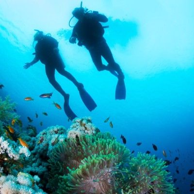 image presenting excursion Scuba Diving For Beginners