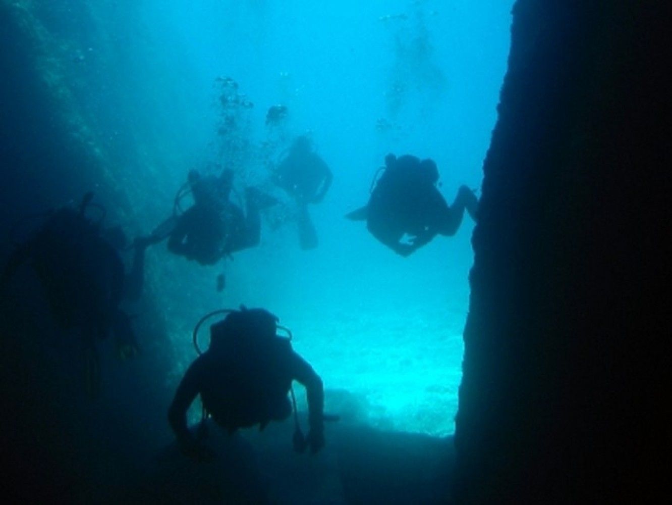 picture from activity Scuba Diving For Beginners