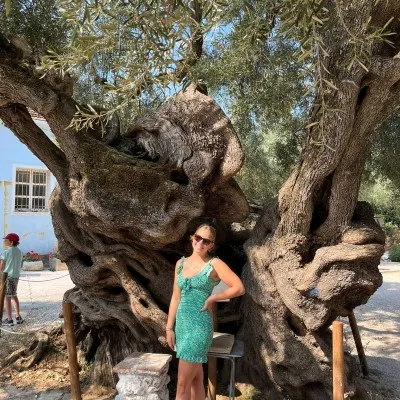 picture from The oldest Olive Tree-in Exo Hora